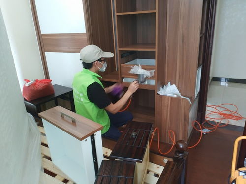 守護(hù)清新空氣，構(gòu)筑健康空間——綠凈源廈門(mén)辦公室除甲醛公司專(zhuān)業(yè)服務(wù)解析